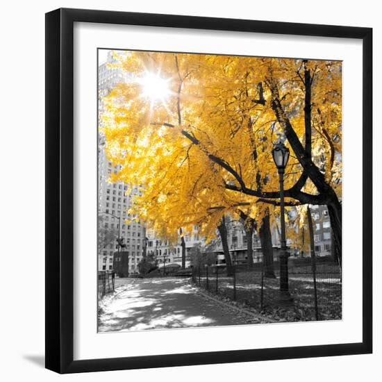 Park Pretty II-Assaf Frank-Framed Premium Photographic Print