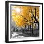 Park Pretty II-Assaf Frank-Framed Premium Photographic Print