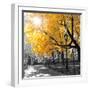 Park Pretty II-Assaf Frank-Framed Premium Photographic Print