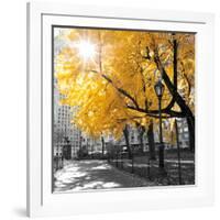 Park Pretty II-Assaf Frank-Framed Photographic Print