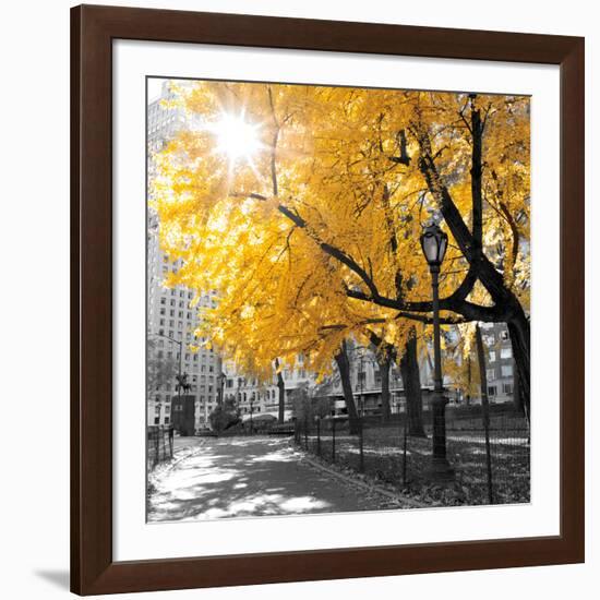 Park Pretty II-Assaf Frank-Framed Photographic Print