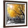 Park Pretty II-Assaf Frank-Framed Photographic Print