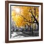 Park Pretty II-Assaf Frank-Framed Photographic Print