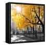 Park Pretty II-Assaf Frank-Framed Stretched Canvas