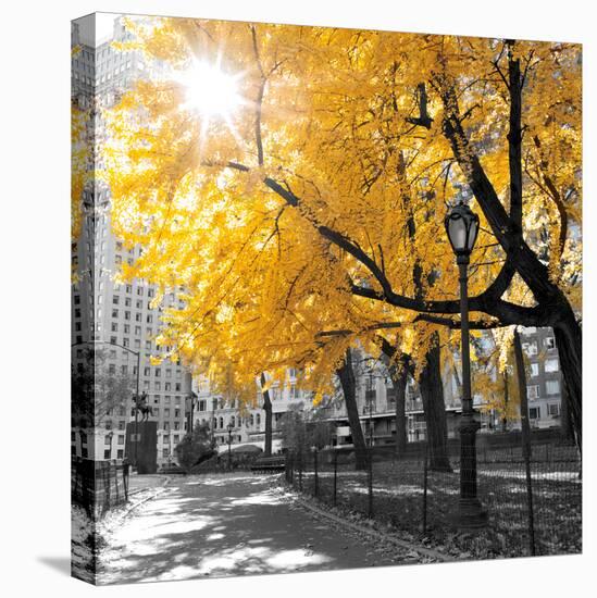 Park Pretty II-Assaf Frank-Stretched Canvas