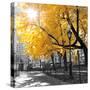 Park Pretty II-Assaf Frank-Stretched Canvas