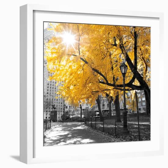 Park Pretty II-Assaf Frank-Framed Photographic Print