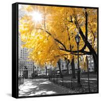 Park Pretty II-Assaf Frank-Framed Stretched Canvas