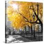 Park Pretty II-Assaf Frank-Stretched Canvas