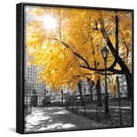 Park Pretty II-Assaf Frank-Framed Photographic Print