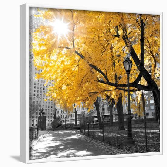 Park Pretty II-Assaf Frank-Framed Photographic Print