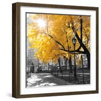 Park Pretty II-Assaf Frank-Framed Photographic Print