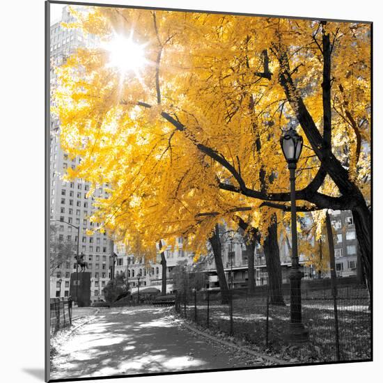 Park Pretty II-Assaf Frank-Mounted Photographic Print