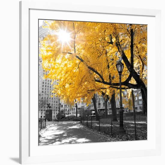 Park Pretty II-Assaf Frank-Framed Photographic Print