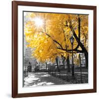 Park Pretty II-Assaf Frank-Framed Photographic Print