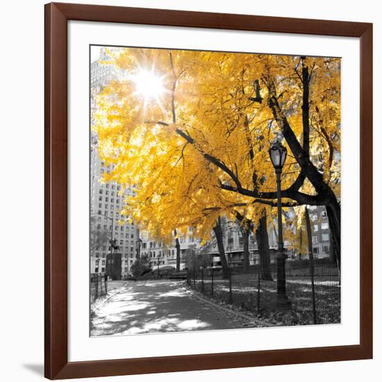 Park Pretty II-Assaf Frank-Framed Photographic Print