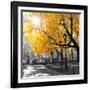 Park Pretty II-Assaf Frank-Framed Photographic Print