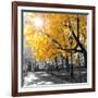 Park Pretty II-Assaf Frank-Framed Photographic Print