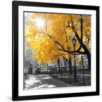 Park Pretty II-Assaf Frank-Framed Photographic Print