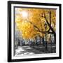 Park Pretty II-Assaf Frank-Framed Photographic Print