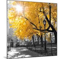 Park Pretty II-Assaf Frank-Mounted Photographic Print