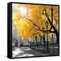 Park Pretty II-Assaf Frank-Framed Stretched Canvas