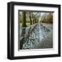 Park Reflections-Harold Davis-Framed Giclee Print