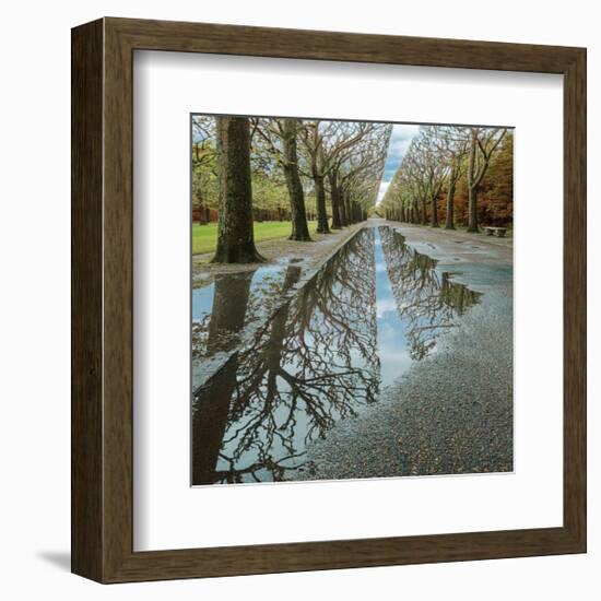 Park Reflections-Harold Davis-Framed Giclee Print