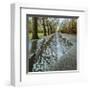 Park Reflections-Harold Davis-Framed Giclee Print