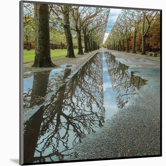 Park Reflections-Harold Davis-Mounted Giclee Print