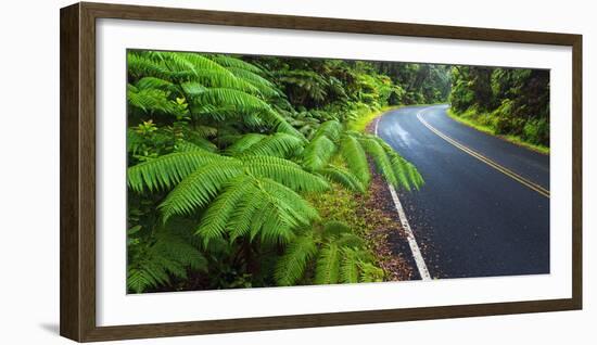 Park road through the fern forest, Hawaii Volcanoes National Park, Hawaii, USA-Russ Bishop-Framed Photographic Print