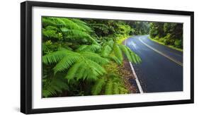 Park road through the fern forest, Hawaii Volcanoes National Park, Hawaii, USA-Russ Bishop-Framed Photographic Print