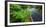 Park road through the fern forest, Hawaii Volcanoes National Park, Hawaii, USA-Russ Bishop-Framed Photographic Print