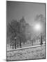 Park Scene near Buildings-Frank Mastro-Mounted Photographic Print