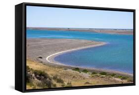 Park Valdes, Peninsula Valdes, Argentina-Peter Groenendijk-Framed Stretched Canvas