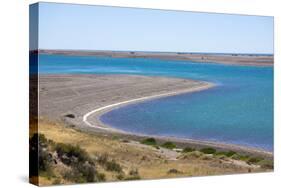 Park Valdes, Peninsula Valdes, Argentina-Peter Groenendijk-Stretched Canvas