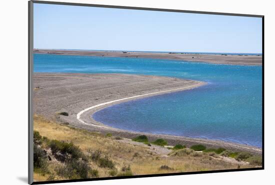 Park Valdes, Peninsula Valdes, Argentina-Peter Groenendijk-Mounted Photographic Print