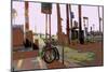 Park, Venice Beach, California-Steve Ash-Mounted Giclee Print