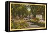 Park with Flowers, Portland, Oregon-null-Framed Stretched Canvas