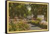 Park with Flowers, Portland, Oregon-null-Framed Stretched Canvas