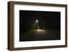 Park with lighting-Benjamin Engler-Framed Photographic Print