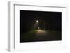 Park with lighting-Benjamin Engler-Framed Photographic Print