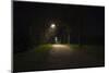 Park with lighting-Benjamin Engler-Mounted Photographic Print