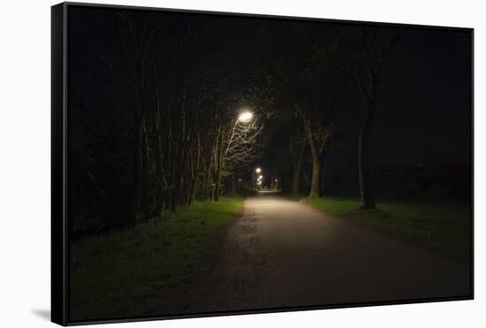 Park with lighting-Benjamin Engler-Framed Stretched Canvas