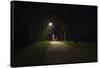 Park with lighting-Benjamin Engler-Framed Stretched Canvas