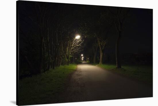 Park with lighting-Benjamin Engler-Stretched Canvas