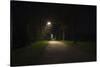Park with lighting-Benjamin Engler-Stretched Canvas
