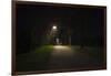 Park with lighting-Benjamin Engler-Framed Photographic Print