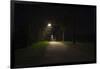 Park with lighting-Benjamin Engler-Framed Photographic Print