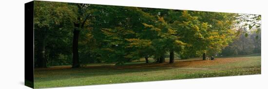 Park with Trees Munich Germany-null-Stretched Canvas